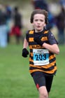 Blue 203, North East Harrier League, Sunderland